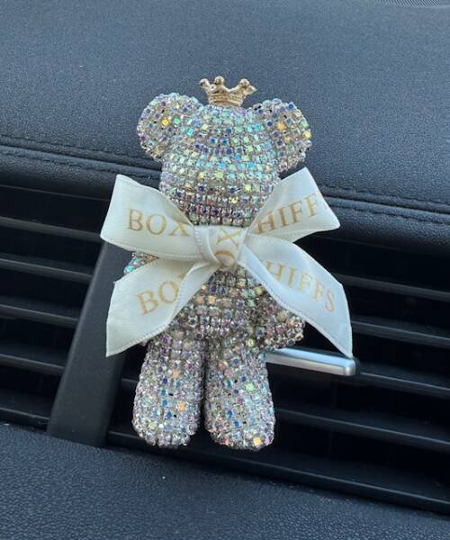 Car Freshener- Britney Steers
